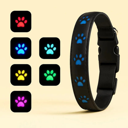 LED Hundehalsband für bessere Sichtbarkeit bei Nacht & Spaziergängen im Dunkeln