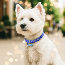 Sparkling Dog Collar with Pendant – Elegant Collar for Small & Medium Dogs