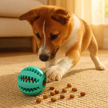 Interactive Treat Ball for Dogs for Mental Stimulation & Feeding