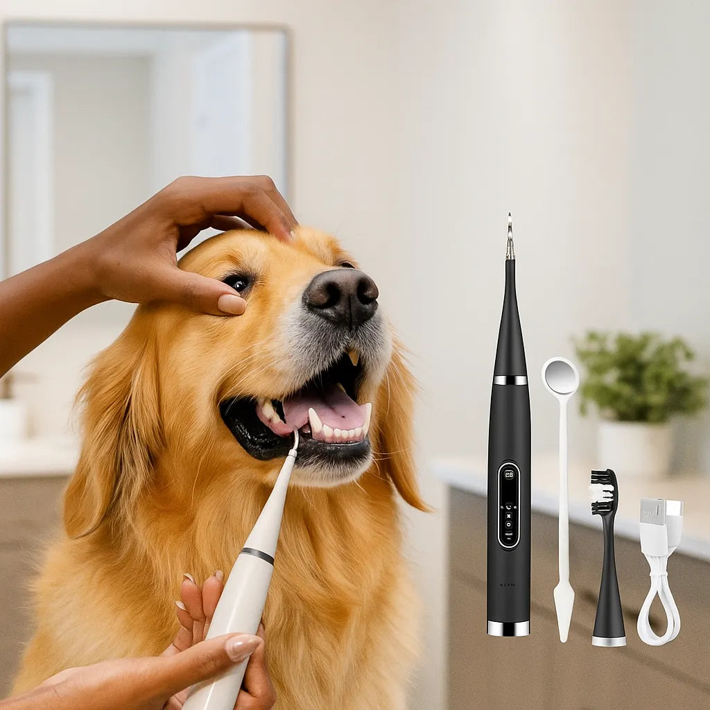Zahnbürsten-Set für Hunde – Gegen Plaque & Mundgeruch