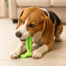 Nettoyant dentaire à mâcher pour chiens – Soin dentaire naturel & haleine fraîche par mastication