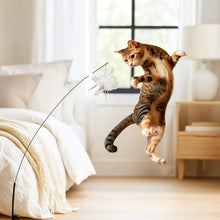 Interactive Cat Toy with Bird | Movement & Mental Stimulation