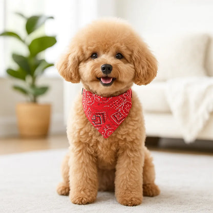 Hunde-Bandana mit Klickverschluss – Stylisch, bequem & alltagstauglich
