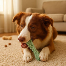 Dental Care Chew Toy for Dogs | Durable Chewing Toy