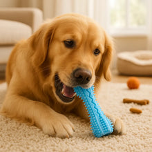 Dental Care Chew Toy for Dogs | Durable Chewing Toy
