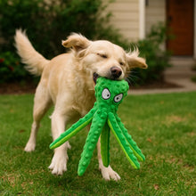 Jouet pour chien avec effet crépitant & fonction tirage – Pour chiens actifs et joueurs