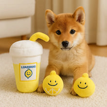 Plush Toy Set for Dogs | With Hide-and-Seek Game & Squeaking Function