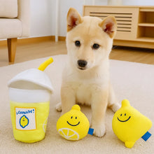 Plush Toy Set for Dogs | With Hide-and-Seek Game & Squeaking Function