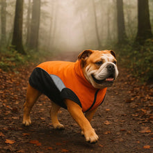 Imperméable pour chien réfléchissant | Protection contre la pluie & le vent