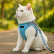 Cat harness with leash | Comfortable & safe for walks