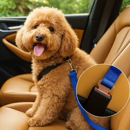 Hunde Autosicherheitsgurt