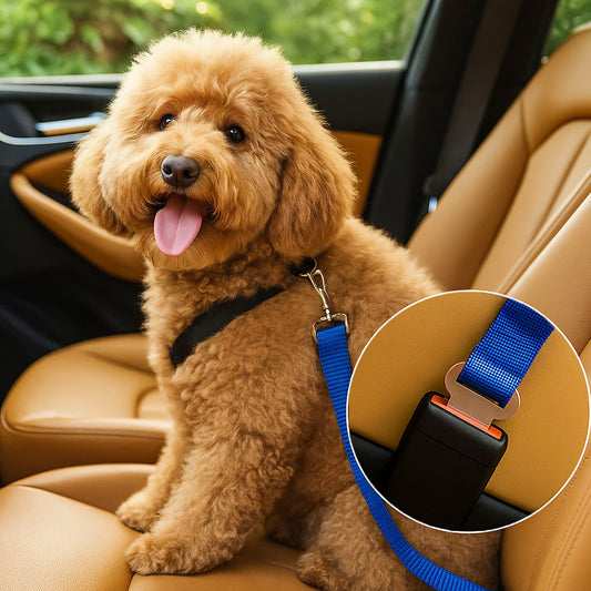 Hunde Autosicherheitsgurt
