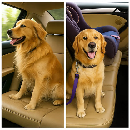 Autosicherheitsgurt für Hunde | Verstellbar & sicher im Auto