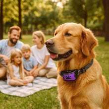 BarkCollar – Anti-bark collar with sound & impulse