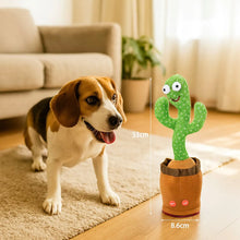 Jouet interactif pour chien cactus | Avec bruit & design en peluche