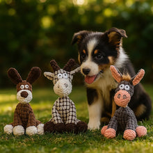 Jouet robuste pour chien en peluche résistante | Peluche douce pour chiens