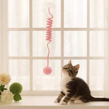 Interactive Cat Toy Elastic - For Indoor Cats