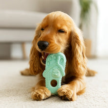 Chew Toy for Dogs in Flip-Flop Design | Durable & Bite-Resistant