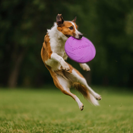 Hundefrisbee Gummi - Für Apportierspiel
