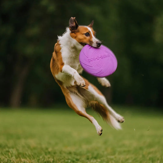 Hundefrisbee Gummi - Für Apportierspiel