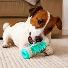 Dog Chew Toy - Dental Cleaning Durable