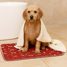 Dog Mat | Washable & Absorbent