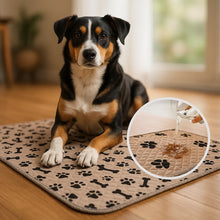 Dog Mat | Washable & Absorbent