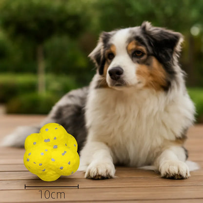 Kauwball für Hunde | Robustes Spielzeug aus widerstandsfähigem Material