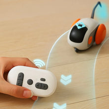 Interactive LED Game Ball with Remote Control - Hunting Game
