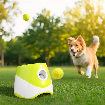 Automatischer Ballwerfer für Hunde | Apportiertraining & Spielzeug