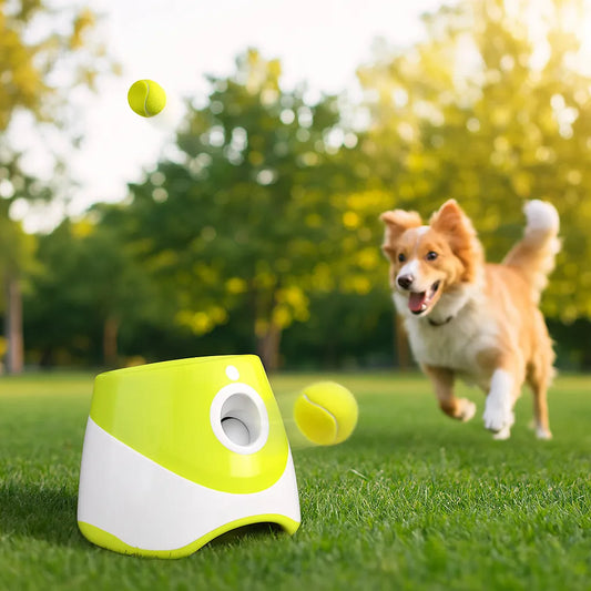 Automatischer Ballwerfer für Hunde | Apportiertraining & Spielzeug