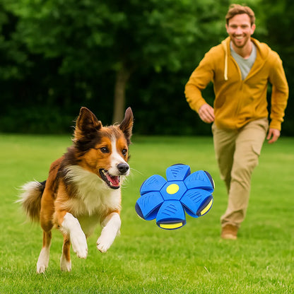 Hundespielzeug Frisbee & Ball | 2-in-1 Apportierspiel für Hunde