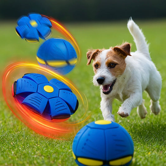 Hundespielzeug Frisbee & Ball | 2-in-1 Apportierspiel für Hunde