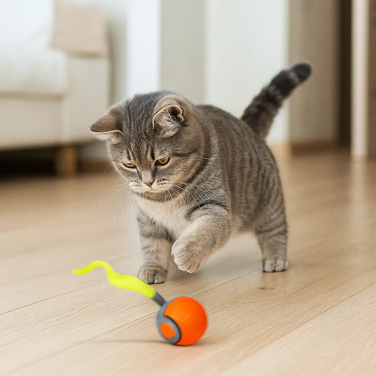 Elektrisches Katzenspielzeug | mit Akku & Jagdbewegungen