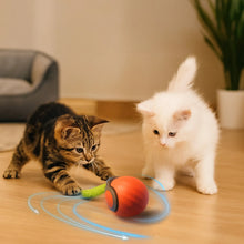 Electric Cat Toy | with Battery & Hunting Movements