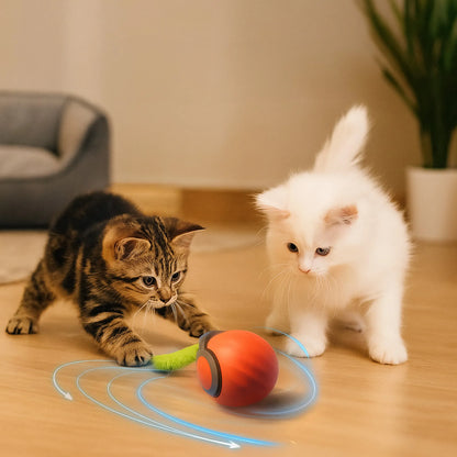 Elektrisches Katzenspielzeug | mit Akku & Jagdbewegungen