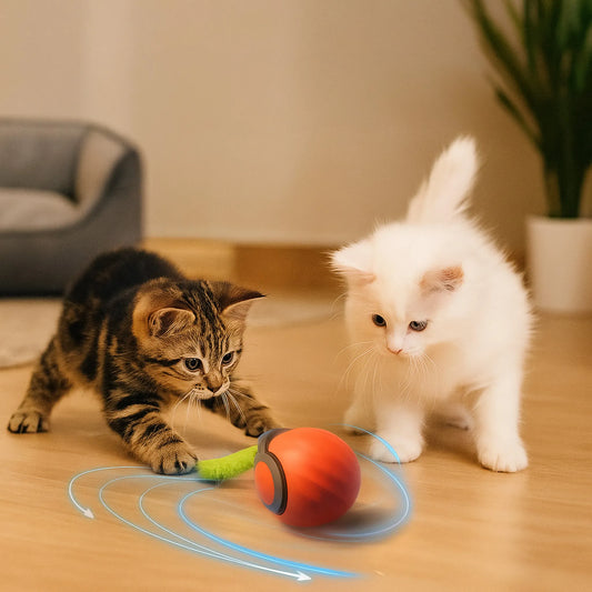 Elektrisches Katzenspielzeug | mit Akku & Jagdbewegungen