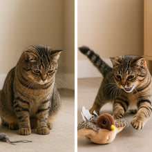 CatchTail – Interactive Cat Toy with Movement and Sound