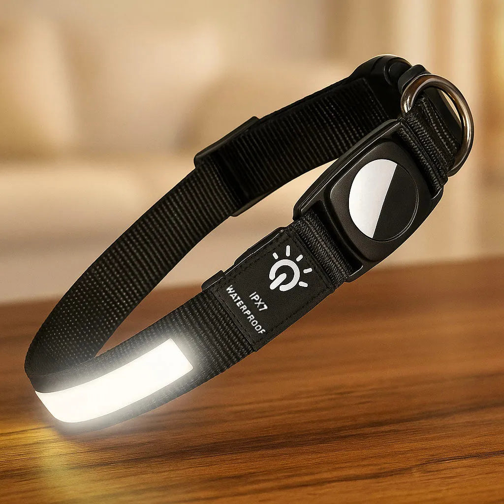 LED Hundehalsband mit AirTag Halterung | Reflektierend & sicher bei Nacht