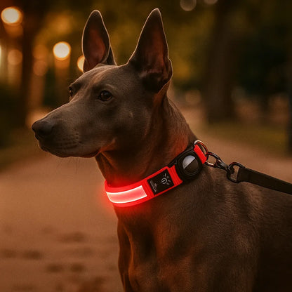 LED Hundehalsband mit AirTag Halterung | Reflektierend & sicher bei Nacht