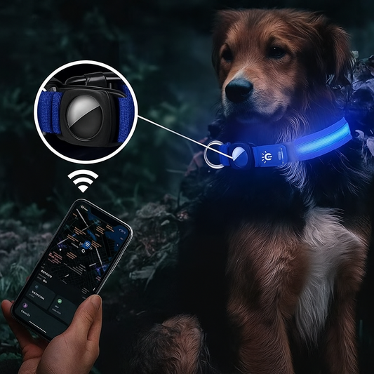 GlowGuard – LED Hundehalsband mit AirTag Halterung & hoher Sichtbarkeit
