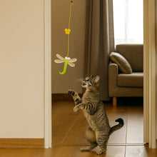 Self-hanging Cat Toy | Interactive Toy for Cats