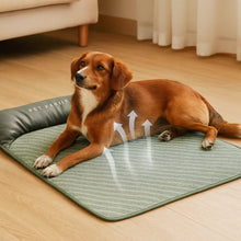 Self-Cooling Dog Mat | Cooling Mat for Dogs in Summer