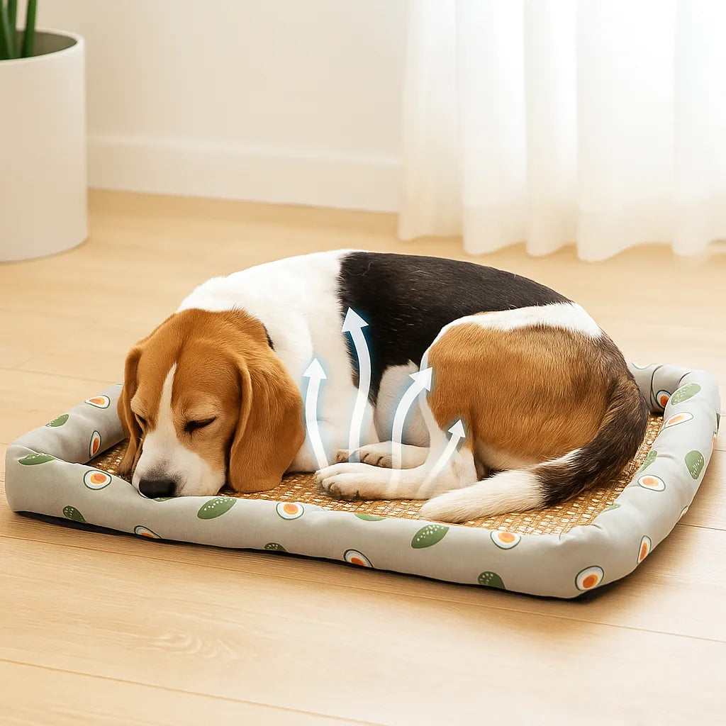 Hundekühlmatte | Atmungsaktives Hundebett für Sommer & Entspannung