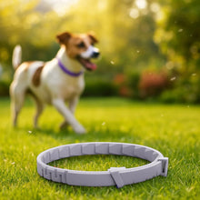 Calming Collar for Dog & Cat – Anti-Stress with Lavender & Chamomile