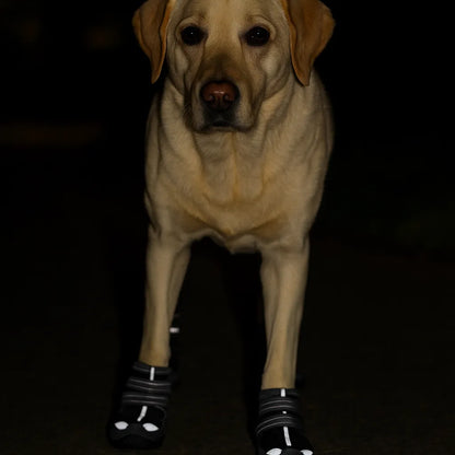 Hundeschuhe Wasserdicht & Rutschfest – Pfotenschutz mit Reflektoren
