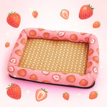 Cooling Cat Bed Summer | Non-Slip & Stylish