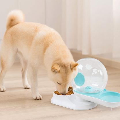 Trinkbrunnen Ohne Strom für Katzen & Hunde – Automatisch Frischwasser
