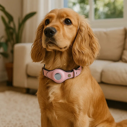 Leder Hundehalsband mit AirTag Halterung – Gepolstert & Sicher