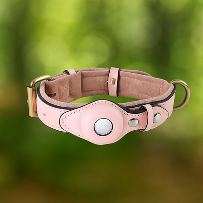 Leder Hundehalsband mit AirTag Halterung – Gepolstert & Sicher